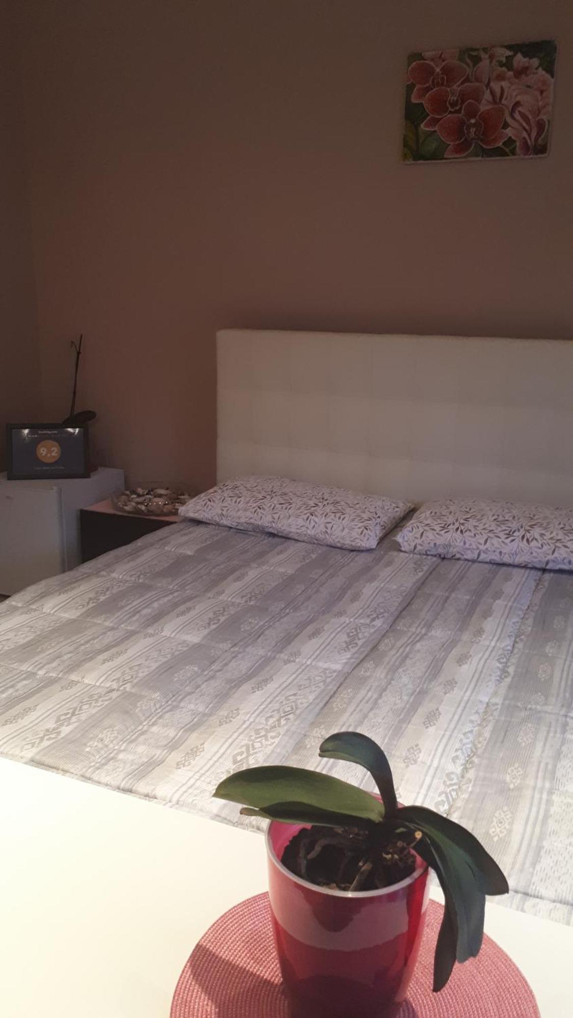 Casa Delle Orchidee Alba (Piedmont) Quarto foto